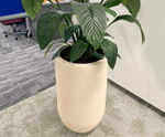 Premium Tube - lightweight fibreglass outdoor planter for trees and plants