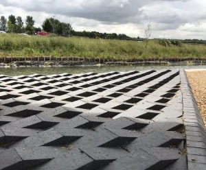 Deterrent Paver - clay paving block to prevent pedestrian or vehicle use