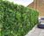 Bespoke Green Walls - artificial plant wall panels for interiors/exteriors 4