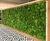Preserved Moss Wall Art - real moss indoor wall decor for interiors 2