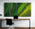 Preserved Moss Wall Art - real moss indoor wall decor for interiors 0