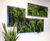 Preserved Moss Wall Art - real moss indoor wall decor for interiors 4