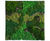 Preserved Moss Wall Art - real moss indoor wall decor for interiors 7