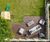 Grad Hidden-fix Decking - timber and composite clip-fixed decking system 5