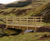 Cycleway Bridges - steel bridge kit for cycle and pedestrian crossings 3