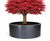 Powder Coated Steel Cylinder - circular tree planter 1