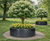 Powder Coated Steel Cylinder - circular tree planter 2