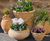 Cretan Terracotta Pots - handmade clay garden planters for outdoor use 1
