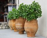 Cretan Terracotta Pots - handmade clay garden planters for outdoor use