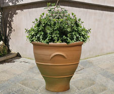 Albia - handmade Cretan terracotta planter for trees and shrubs