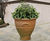 Albia - handmade Cretan terracotta planter for trees and shrubs 0