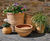 Eri - small terracotta bowl with light ribbing detail for bulbs 0