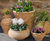 Stamnaki Amphora - Handmade cretan terracotta decorative pot for indoors 1