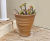 Helios - handmade terracotta outdoor planter for gardens and patios 0