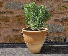 Roumpaki - small handmade Cretan terracotta planter for outdoor use