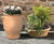 Pitharaki - small handmade Cretan terracotta planter for outdoor use 1