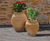 Koronios - handmade Cretan terracotta beehive planter for outdoor use 1