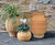 Knossos - handmade Cretan terracotta planter for feature plants 2