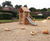Dancing Mice - timber playground sculpture for young children 0