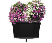 Pagoda Wall Unit - plastic self-watering wall-fixed planter