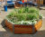 Bespoke Outdoor Planters - hardwood, softwood or metal 0