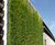 Jakob Green Wall System - stainless steel trellis for climbing plants 1