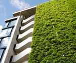 Jakob Green Wall System - stainless steel trellis for climbing plants