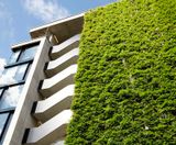 Jakob Green Wall System - stainless steel trellis for climbing plants - on this page