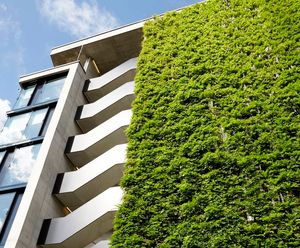 Jakob Green Wall System - stainless steel trellis for climbing plants