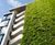 Jakob Green Wall System - stainless steel trellis for climbing plants 0