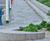 Kellen CERO paving for Torquay harbourside transformation 9