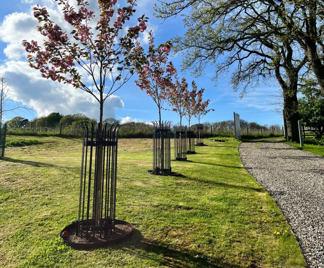 Circular, vertical bar tree guards