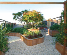 Panel hardwood timber planter system