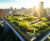 PolderRoof - smart green roof for water management and climate resilience 2