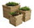 Pre-designed timber raised bed kits - modular timber garden bed for outdoor 2