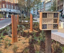 St John Street Rain Gardens and Pollinator Path