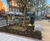 St John Street Rain Gardens and Pollinator Path 9