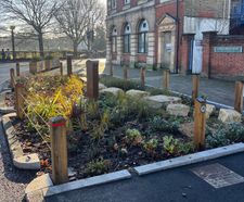 Lower Green West Rain Garden