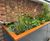 Southwark Residential Powder-Coated Steel SuDS Planters 5