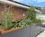 Southwark Residential Powder-Coated Steel SuDS Planters 6
