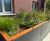 Southwark Residential Powder-Coated Steel SuDS Planters 13