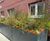 Southwark Residential Powder-Coated Steel SuDS Planters 17