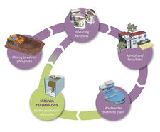 Struvia™ - sustainable phosphorus recovery system for wastewater treatment