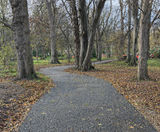Addaflex-R recycled rubber and woodland paths, Abergele - on this page