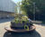 Kensington Leisure Centre Solar Parklet 15