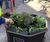 Pagoda Floor Planter - octagonal self-watering plant pot 4