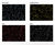 SPORTEC® Color water-repellent sports flooring 3