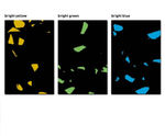 SPORTEC® Splash water-repellent sports flooring