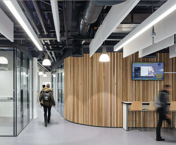 TVS ABSorb Switch acoustic baffles and rafts