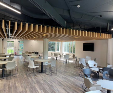 TVS wood-veneer metal baffles - Wilton Centre, Redcar